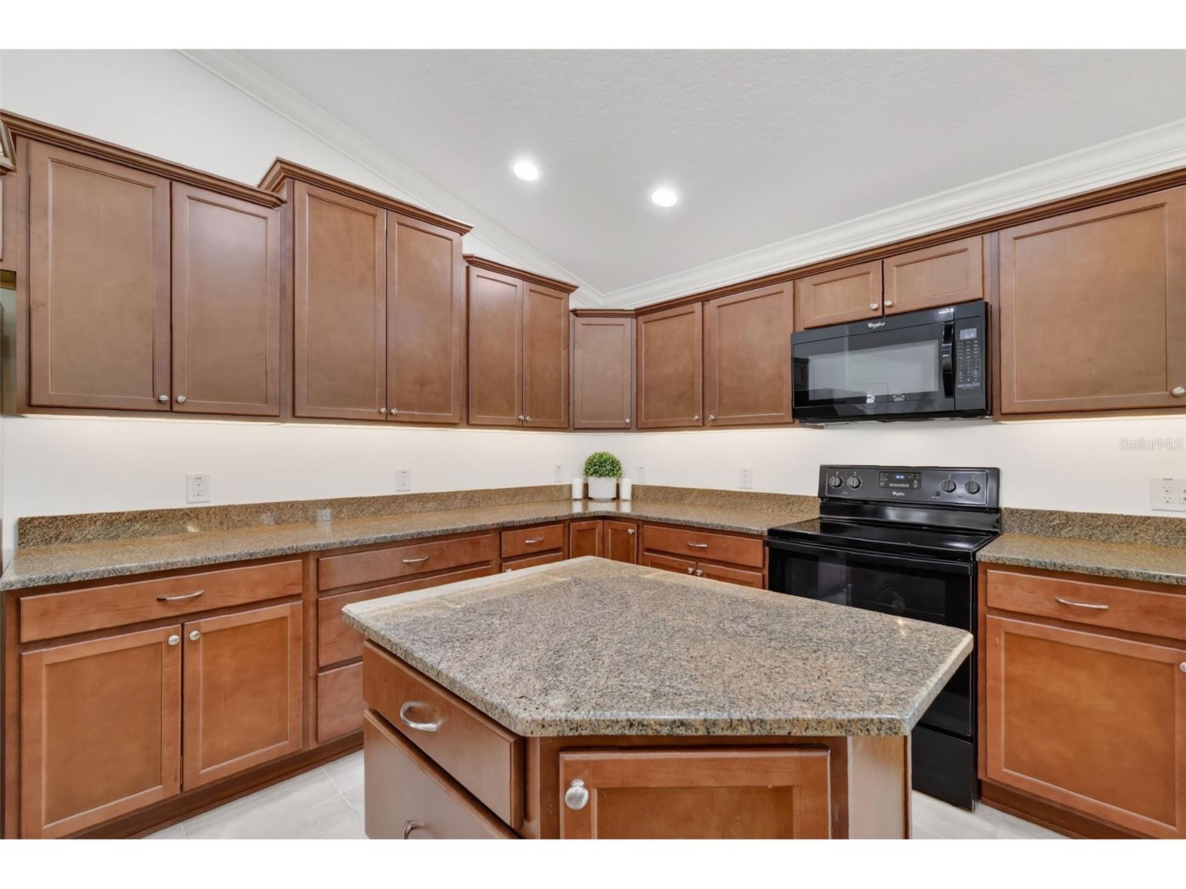 2873 Charlevoix Street The Villages FL 32163 G5110573 image10