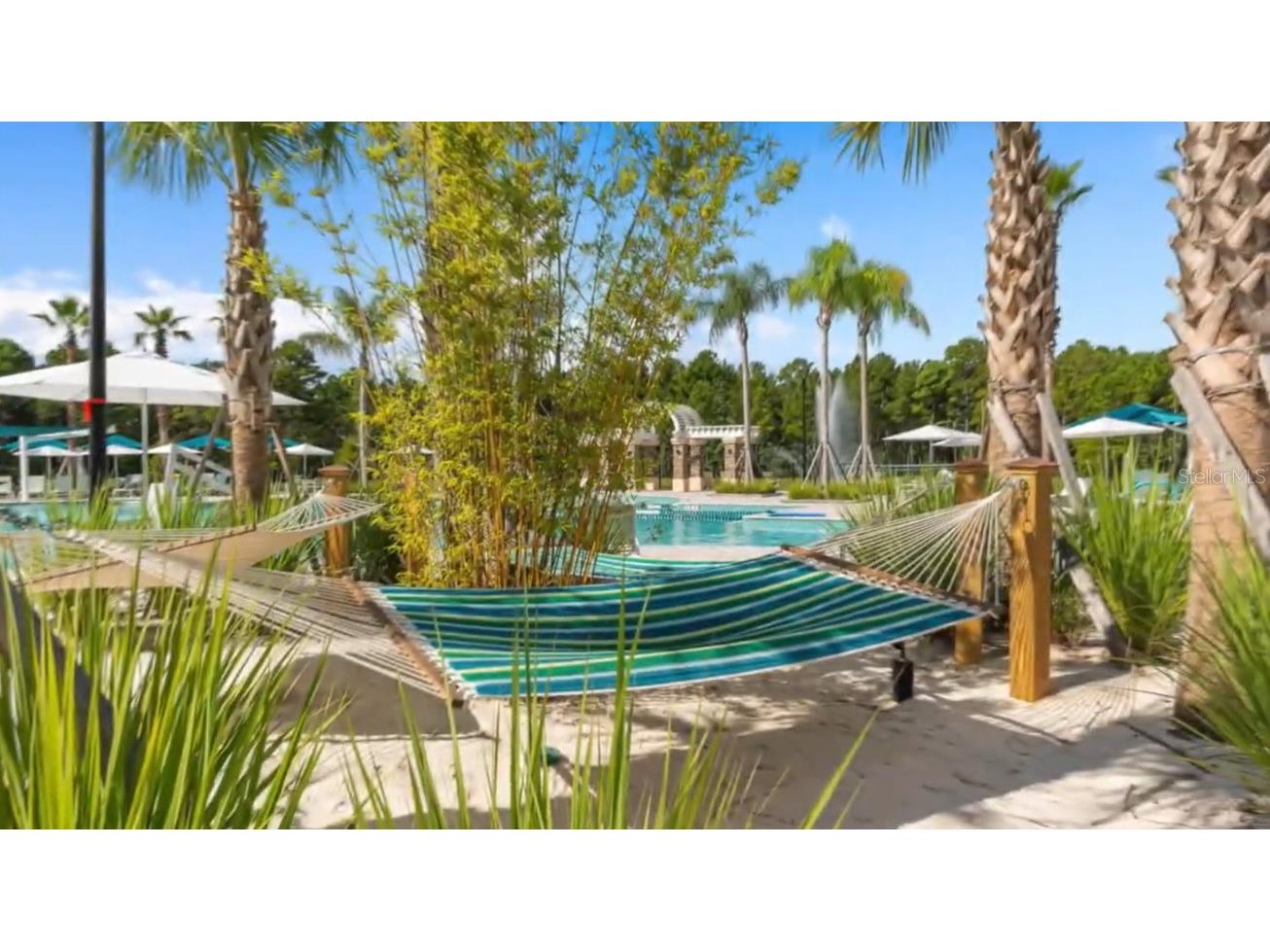 2873 Cherry Blossom Loop Saint Cloud FL 34771 O6398185 image100