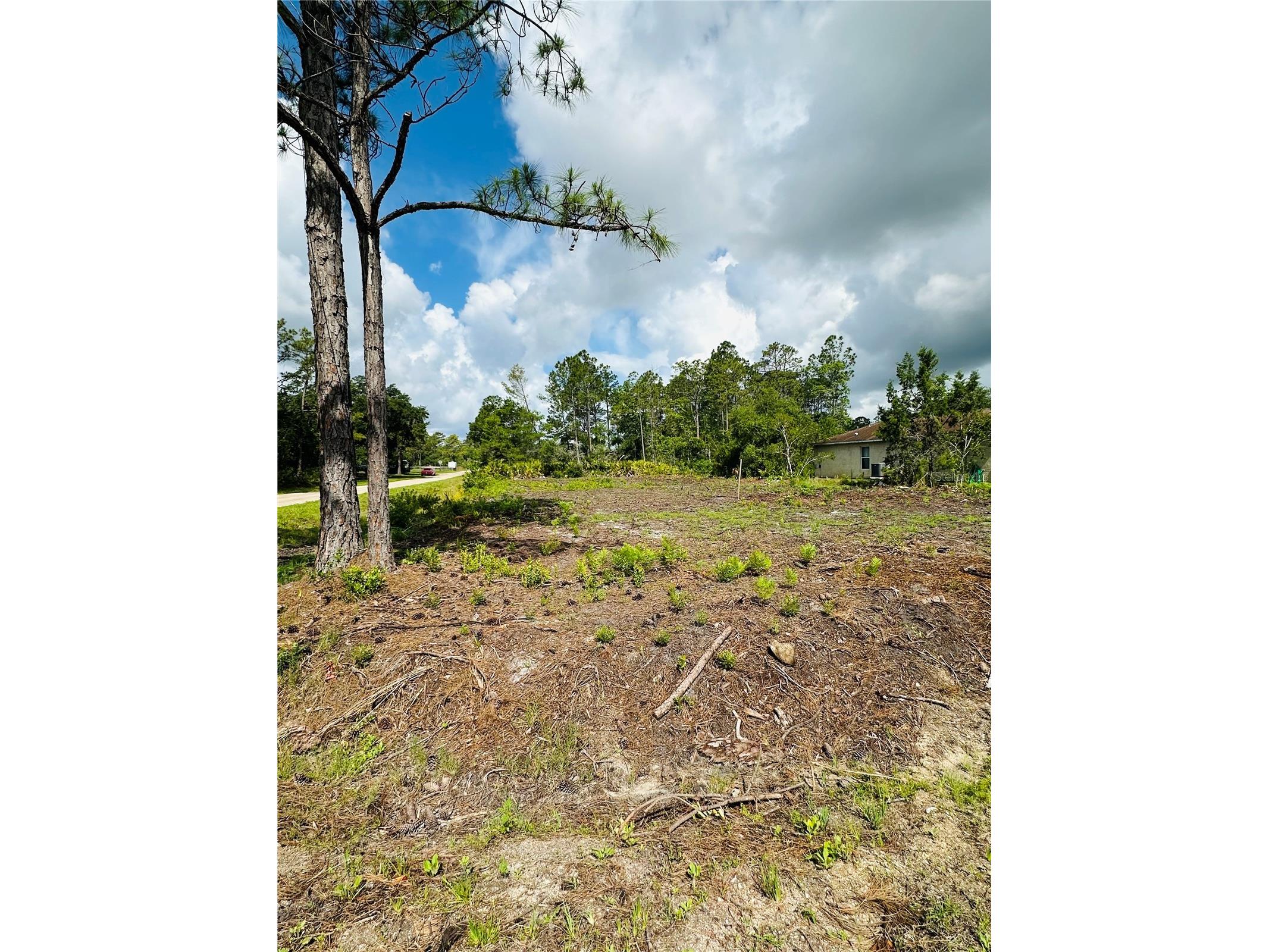 2873 Laurel Road Deland FL 32724 V4949156 image2