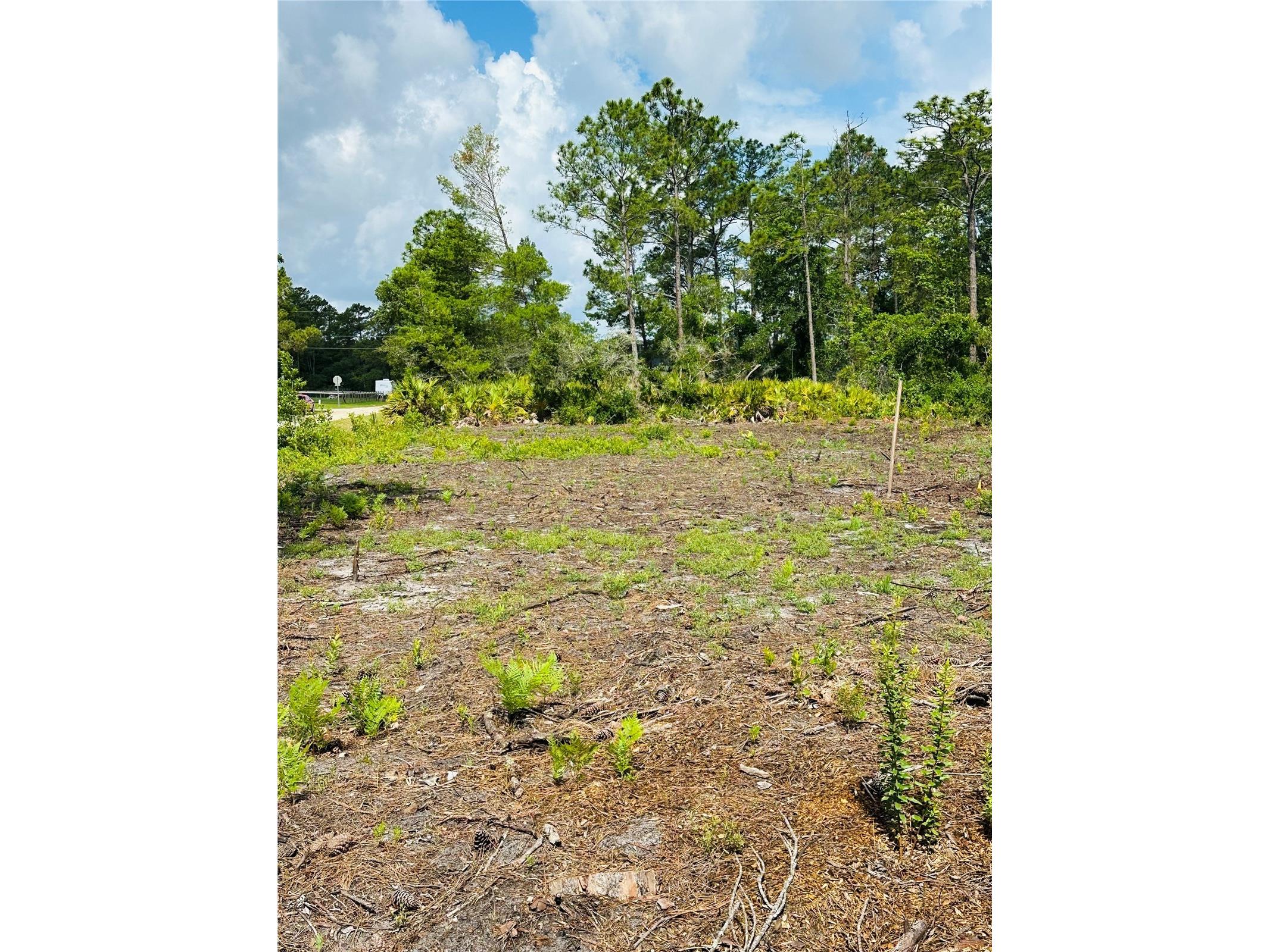 2873 Laurel Road Deland FL 32724 V4949156 image3