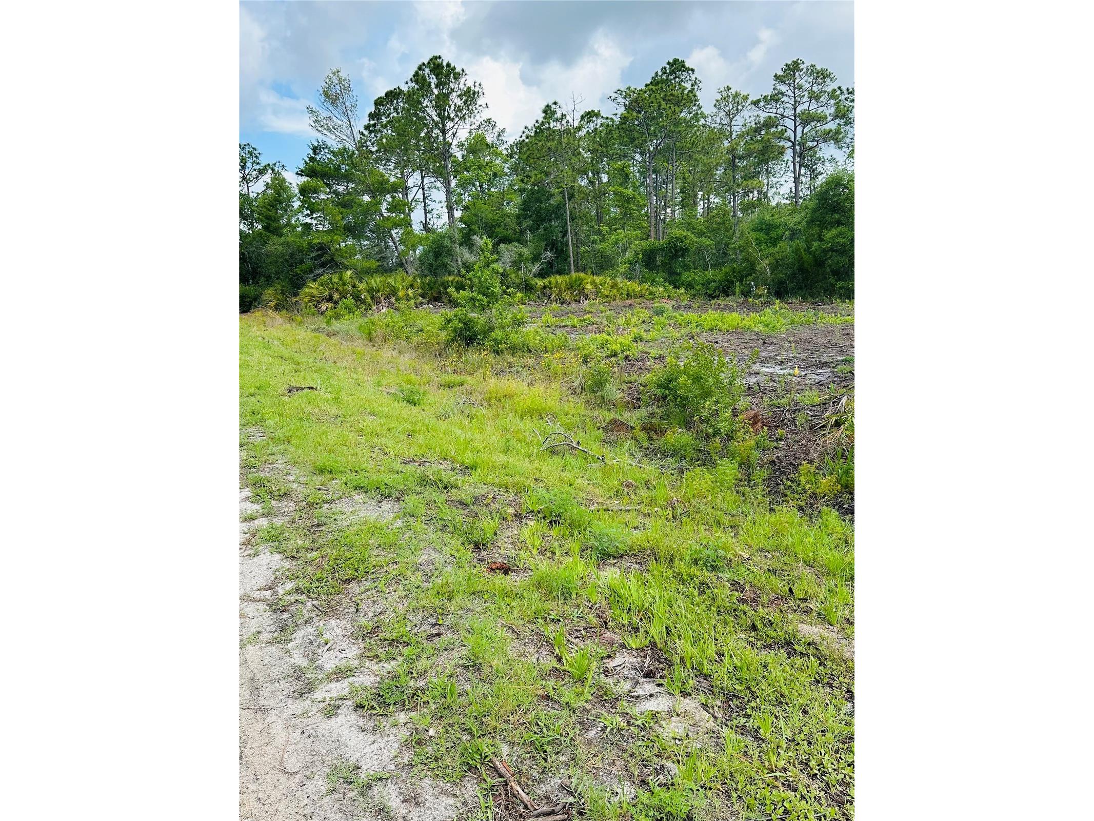 2873 Laurel Road Deland FL 32724 V4949156 image5