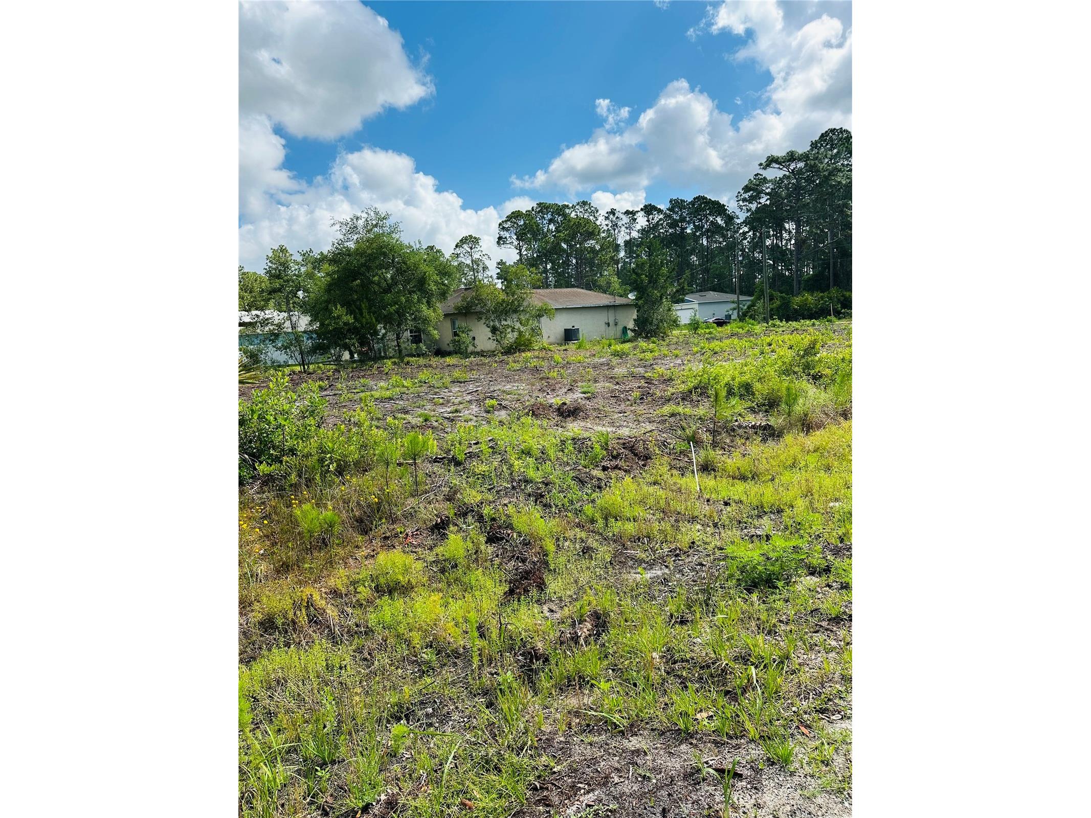 2873 Laurel Road Deland FL 32724 V4949156 image6