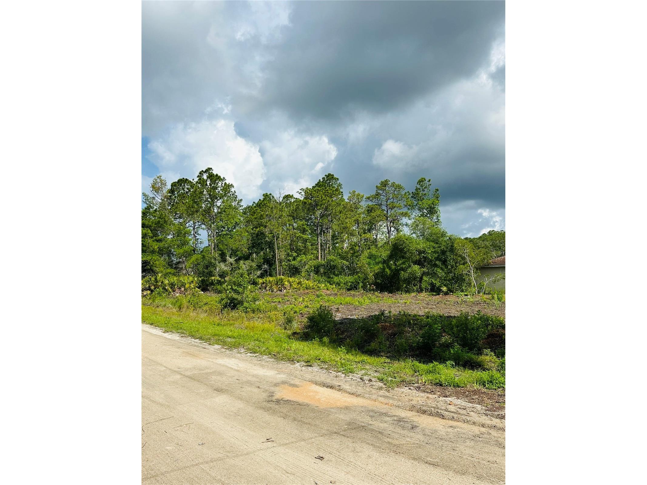2873 Laurel Road Deland FL 32724 V4949156 image7