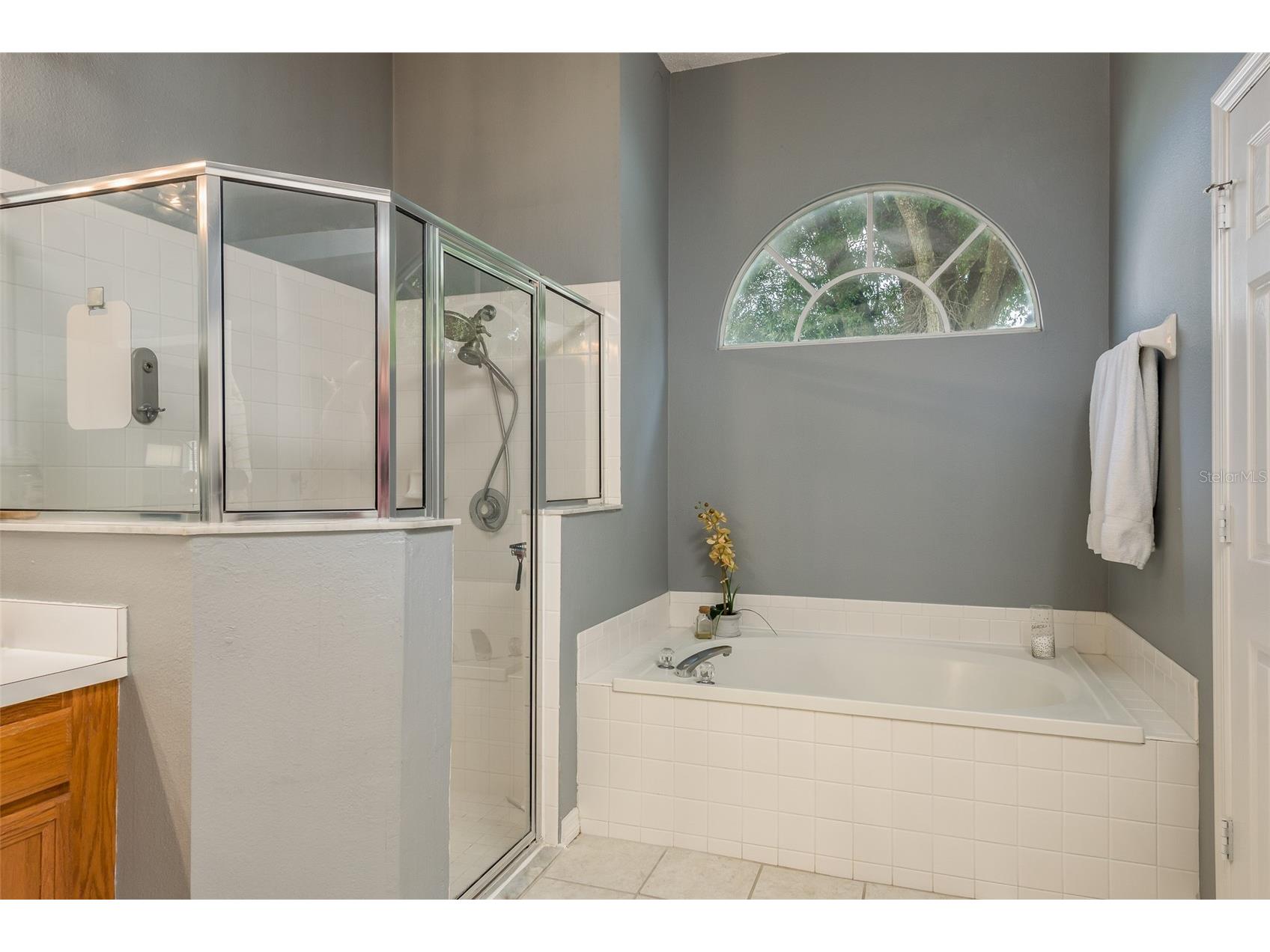 28739 Cottagewood Drive Wesley Chapel FL 33545 TB8526547 image19