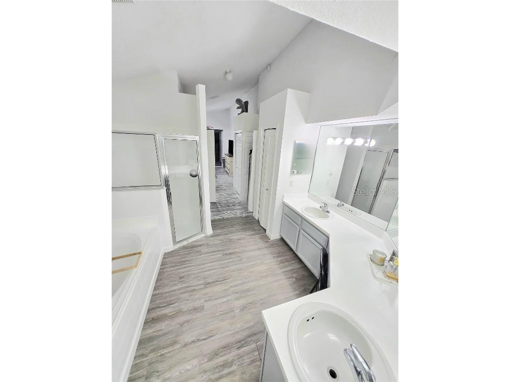 28739 Raleigh Place Wesley Chapel FL 33545 TB8440548 image48