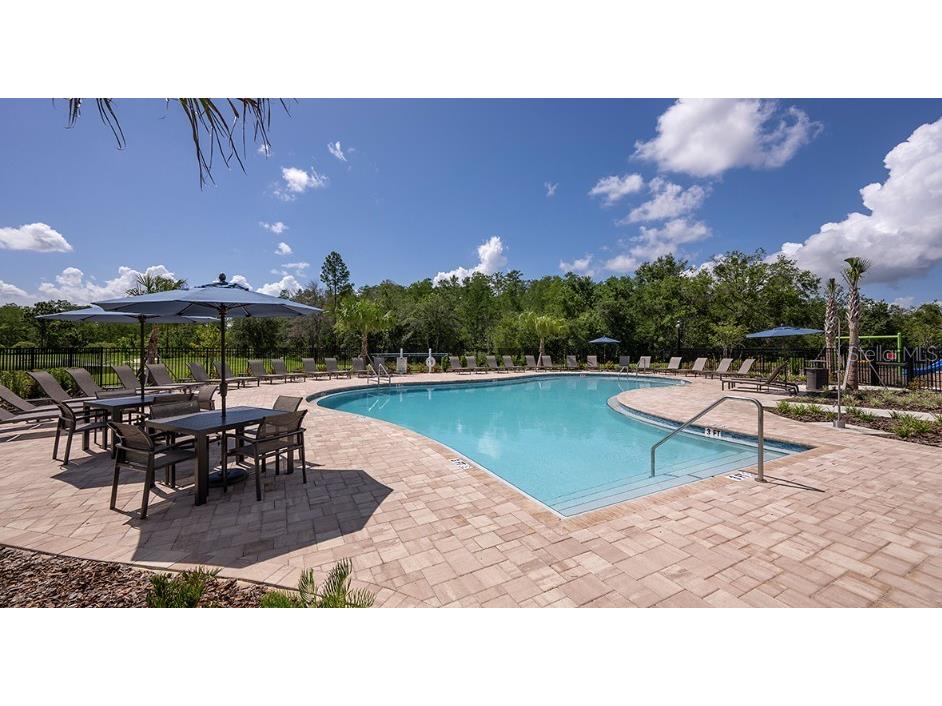 2874 Skyline Loop Kissimmee FL 34758 O6397048 image23