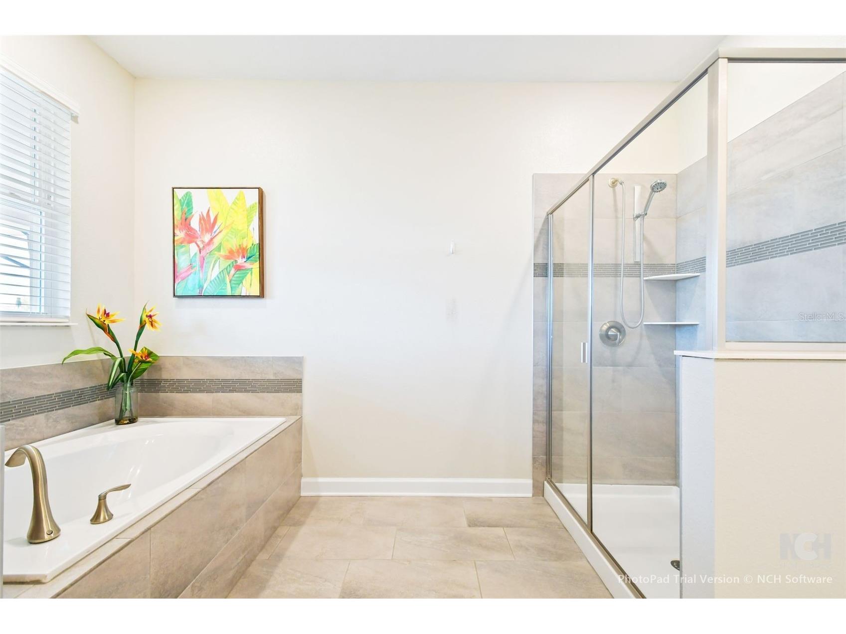 2874 Stanza Ct Kissimmee FL 34746 O6396220 image12