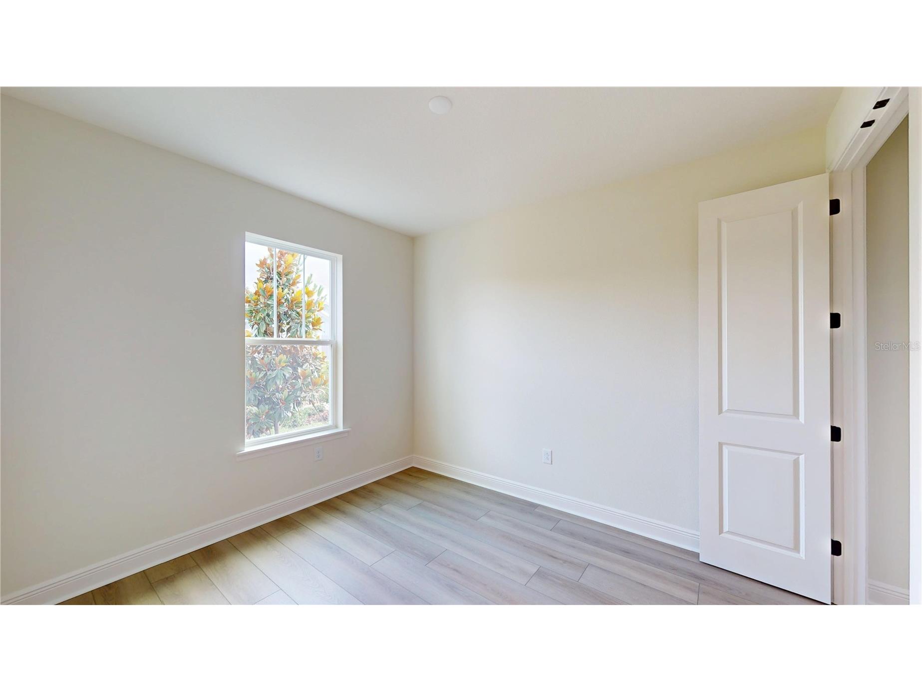 28741 Jujube Road Wesley Chapel FL 33543 O6405192 image18