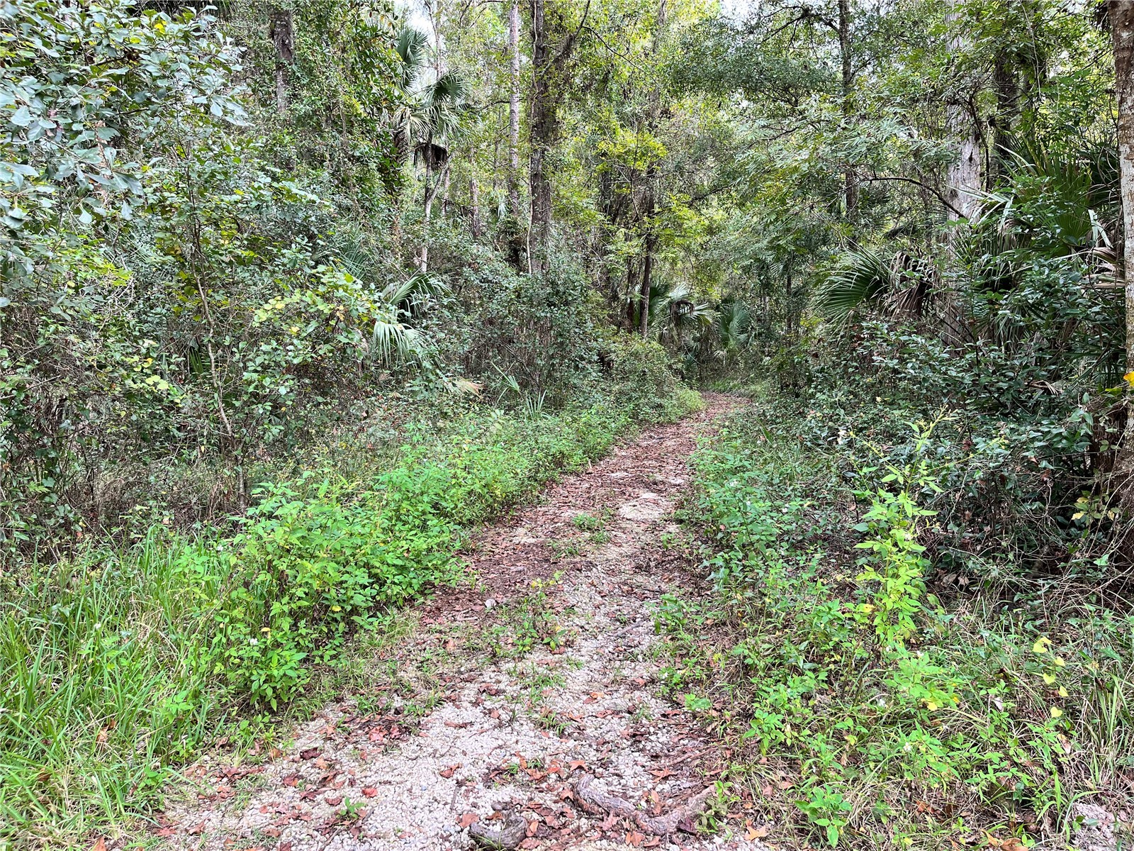 2875 NE 102nd Avenue Road Silver Springs FL 34488 - OCKLAWAHA O6384719 image56