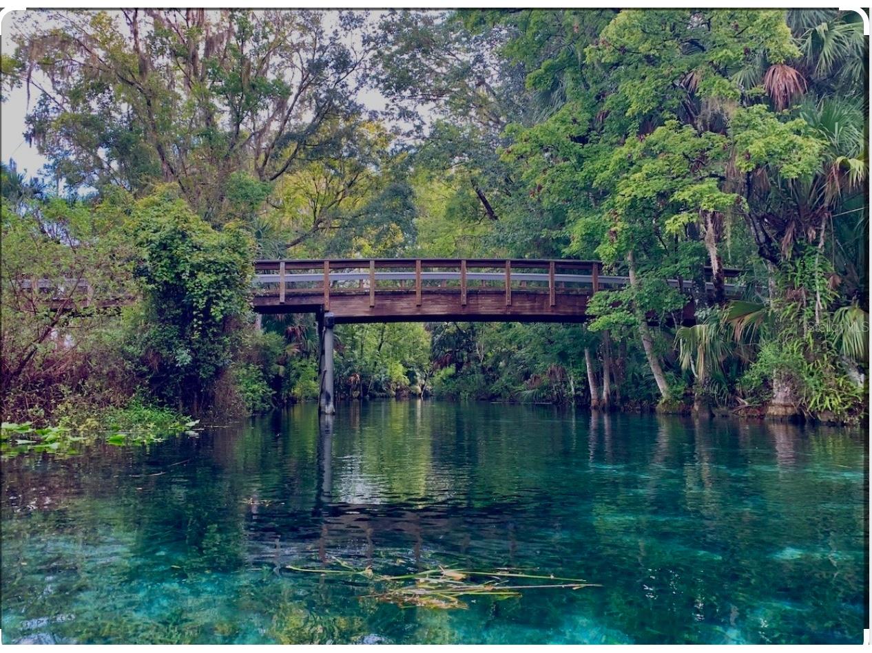 2875 NE 102nd Avenue Road Silver Springs FL 34488 - OCKLAWAHA O6384719 image68