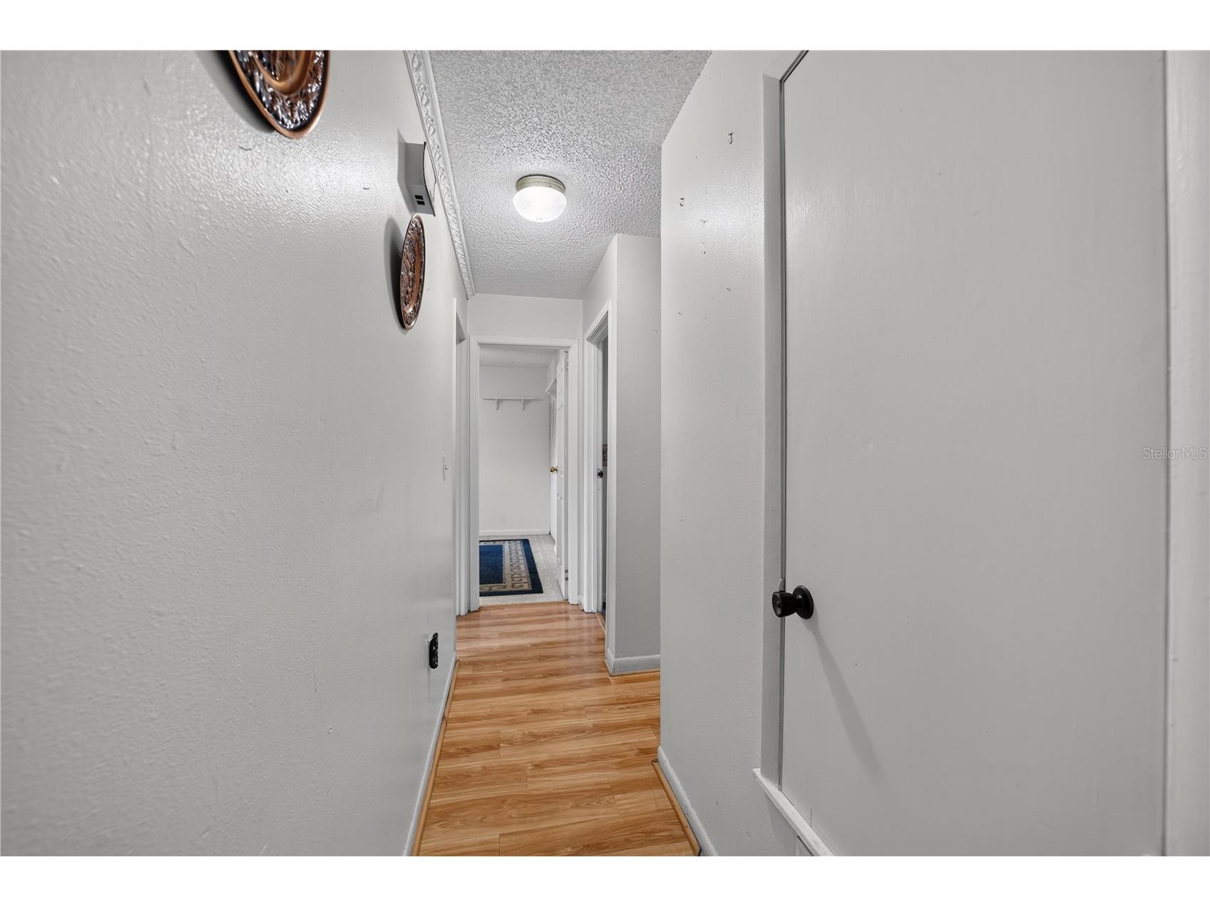 2875 NE 49th Street Ocala FL 34479 OM727602 image26