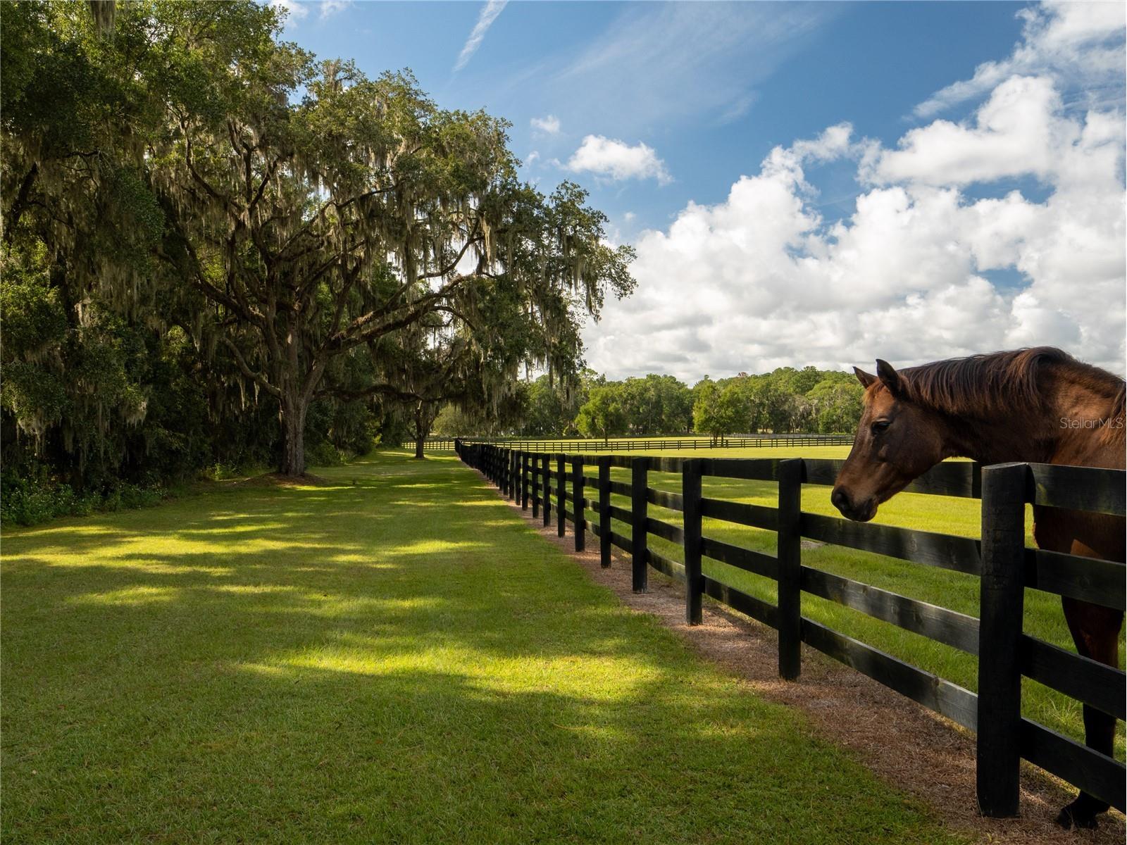 2875 NW 150 Avenue Ocala FL 34482 OM720047 image29