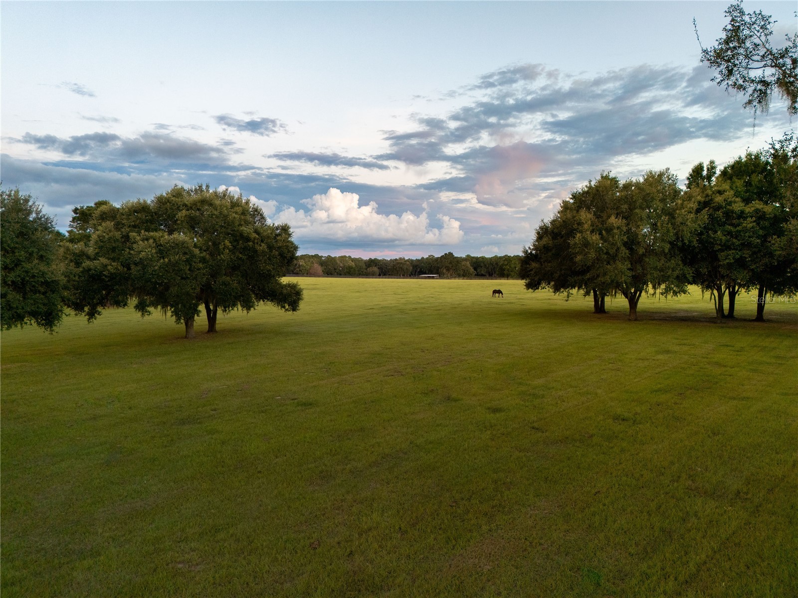 2875 NW 150 Avenue Ocala FL 34482 OM720047 image32