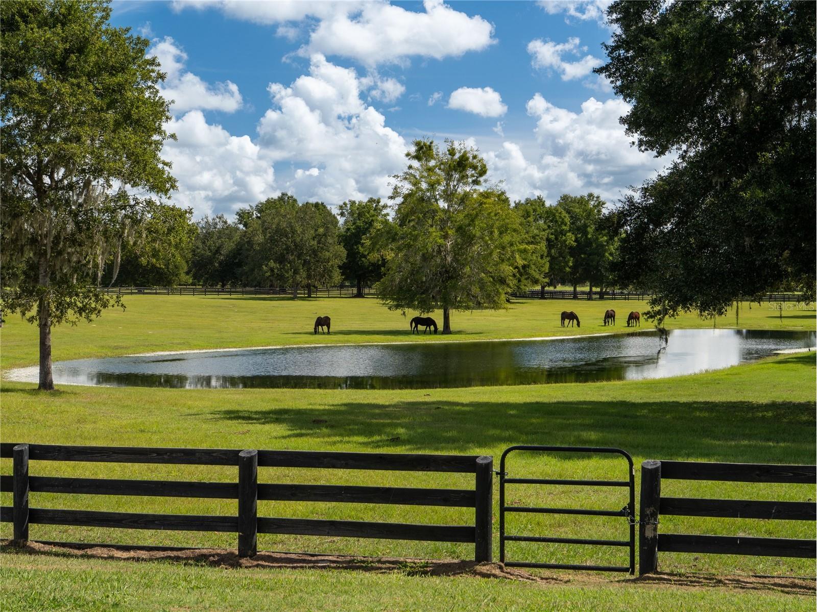 2875 NW 150th Avenue Ocala FL 34482 OM715167 image5