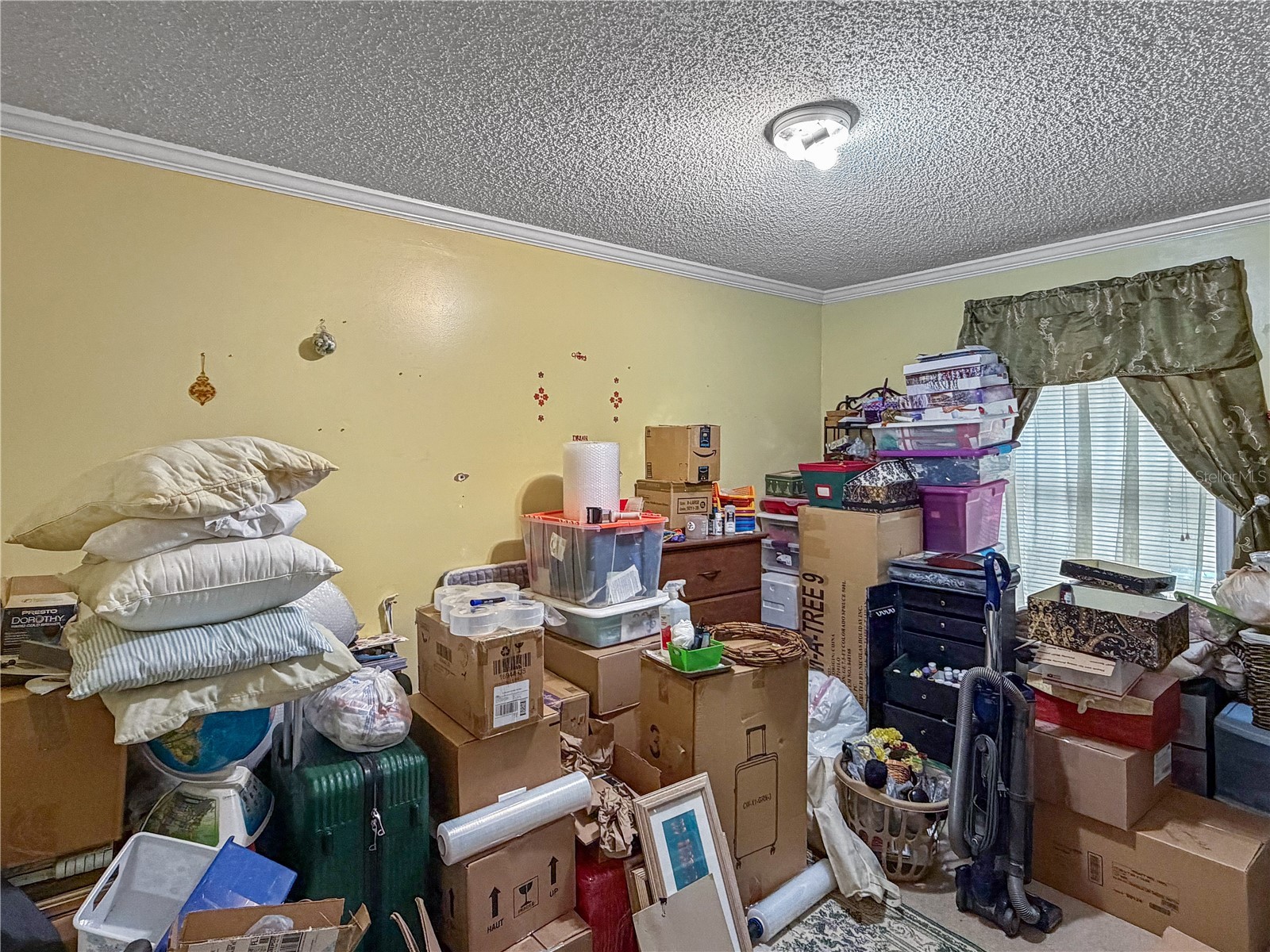 2875 Silver Spur Loop Lake Wales FL 33898 P4938199 image15