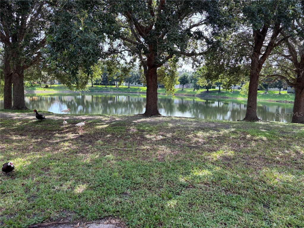 2875 Sunstone Drive Kissimmee FL 34758 S5127289 image26