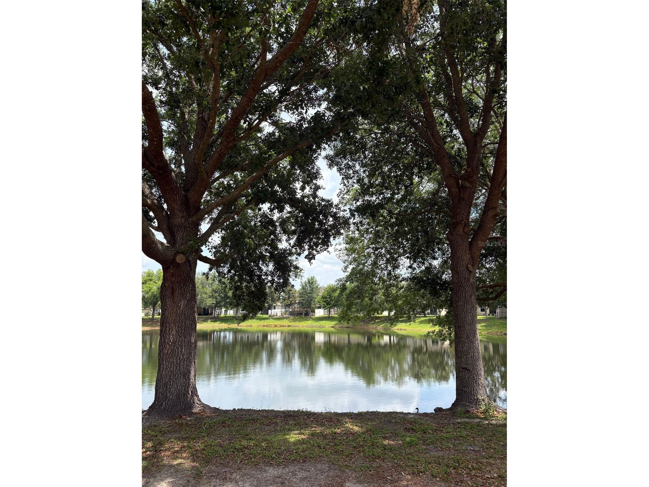 2875 Sunstone Drive Kissimmee FL 34758 S5147784 image37