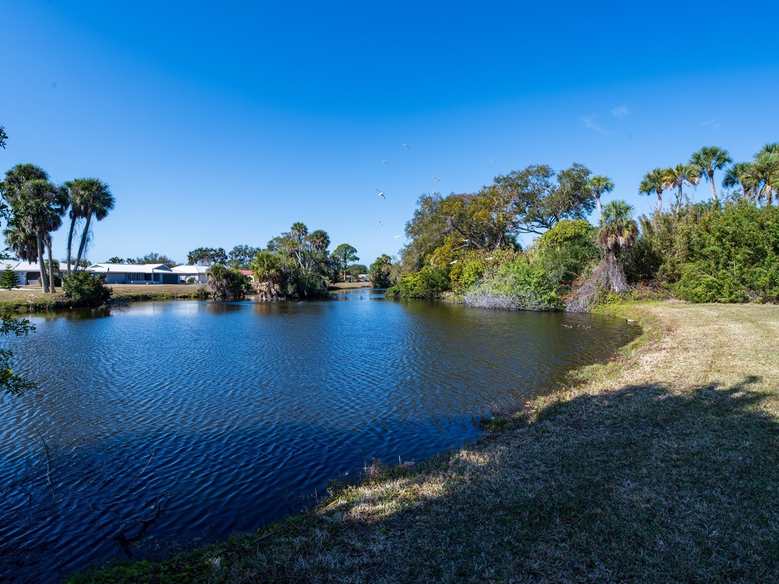 2876 Hardee Drive Sarasota FL 34231 - GULF GATE WOODS A4682244 image31