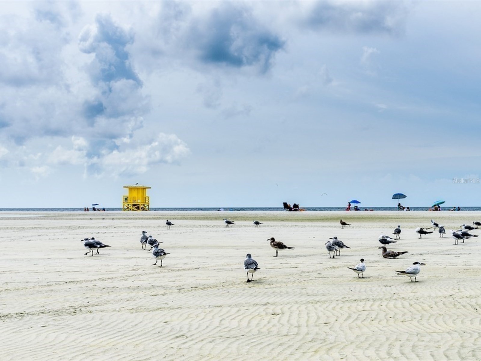 2876 Hardee Drive Sarasota FL 34231 - GULF GATE WOODS A4682244 image68