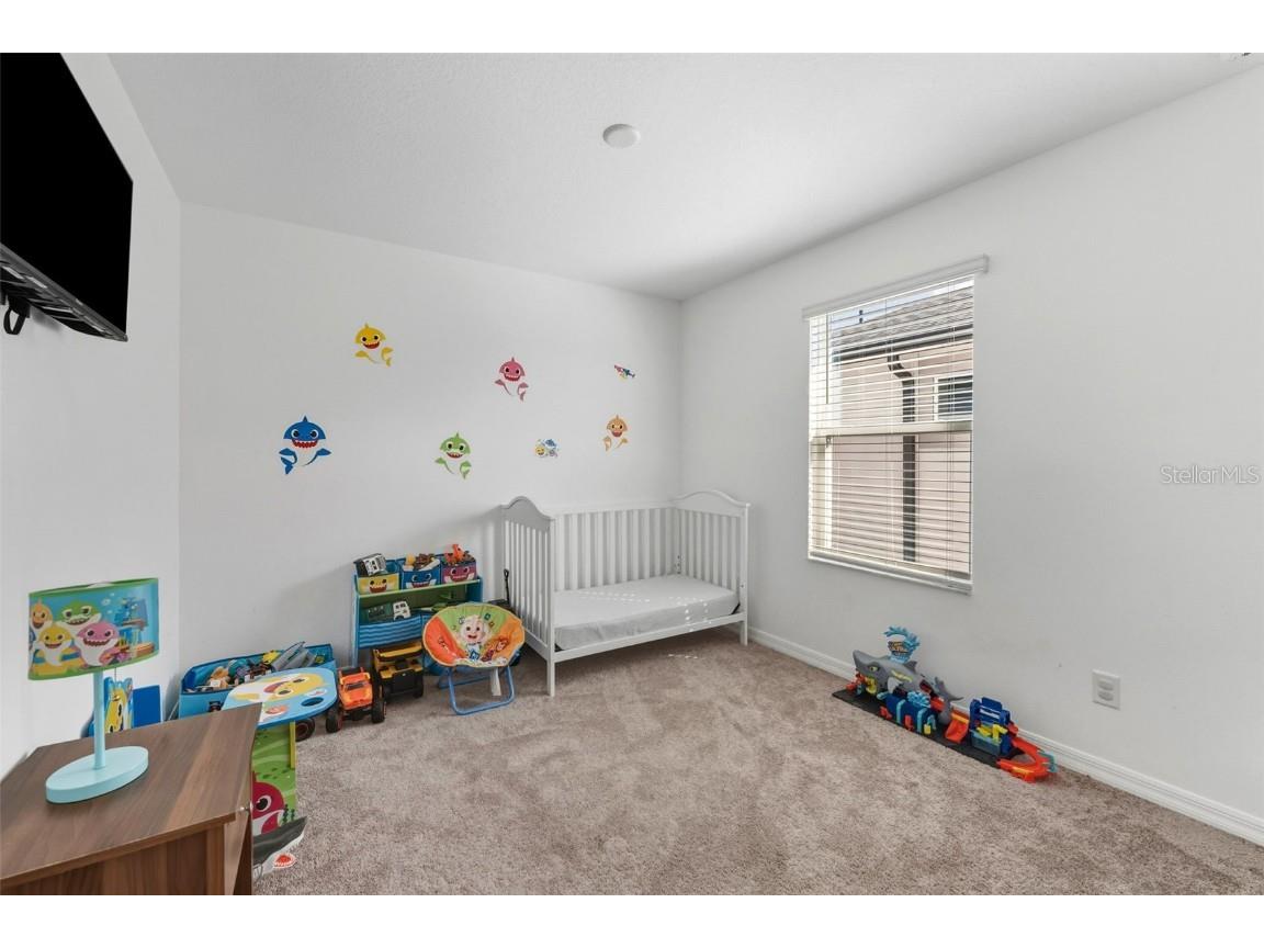 2876 Misty Marble Drive Zephyrhills FL 33540 TB8450621 image15