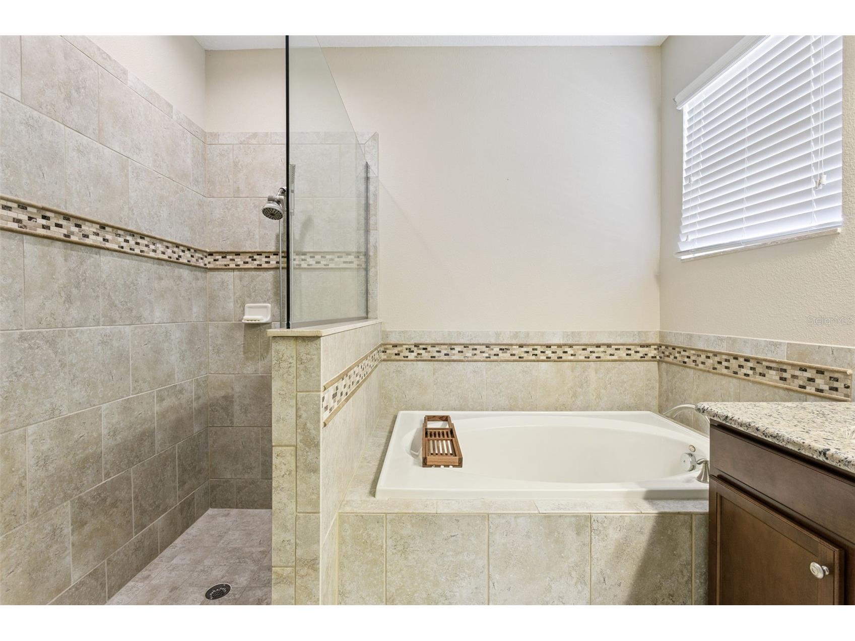 2876 Sandy Cay Street Clermont FL 34711 O6386650 image19