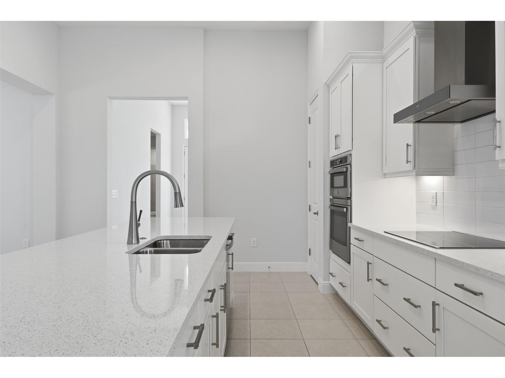 28761 Sweet Persimmon Drive Wesley Chapel FL 33543 O6399571 image16