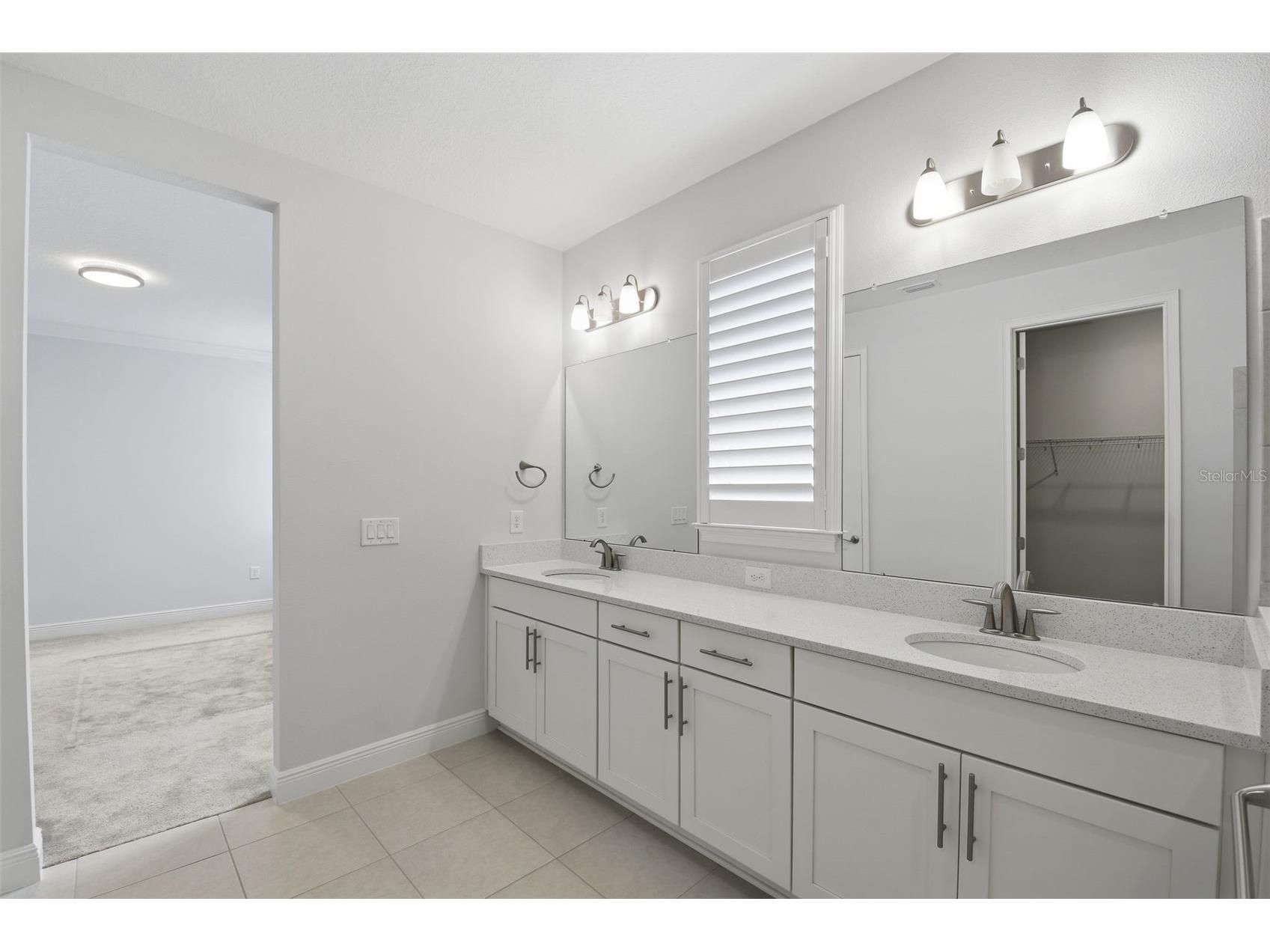 28761 Sweet Persimmon Drive Wesley Chapel FL 33543 O6399571 image22