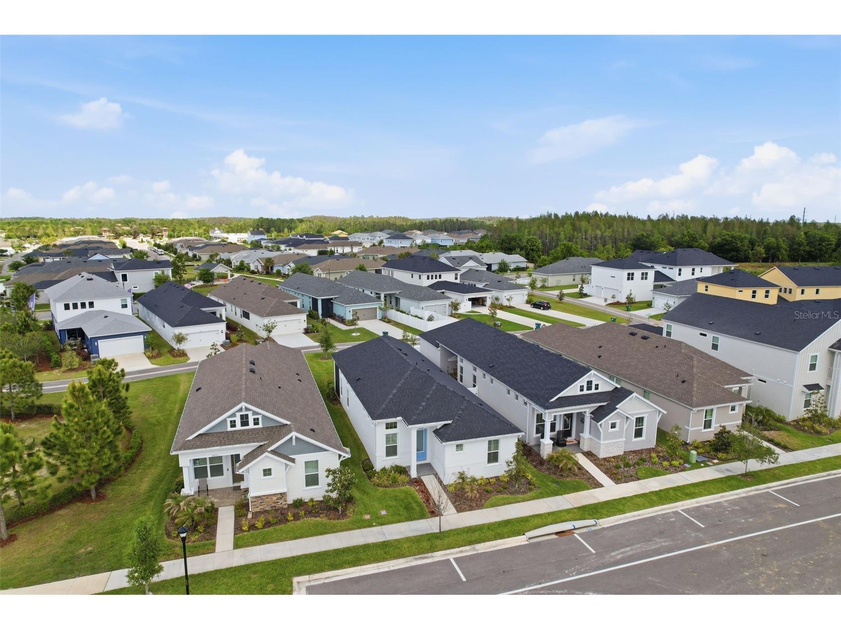 28761 Sweet Persimmon Drive Wesley Chapel FL 33543 O6399571 image35