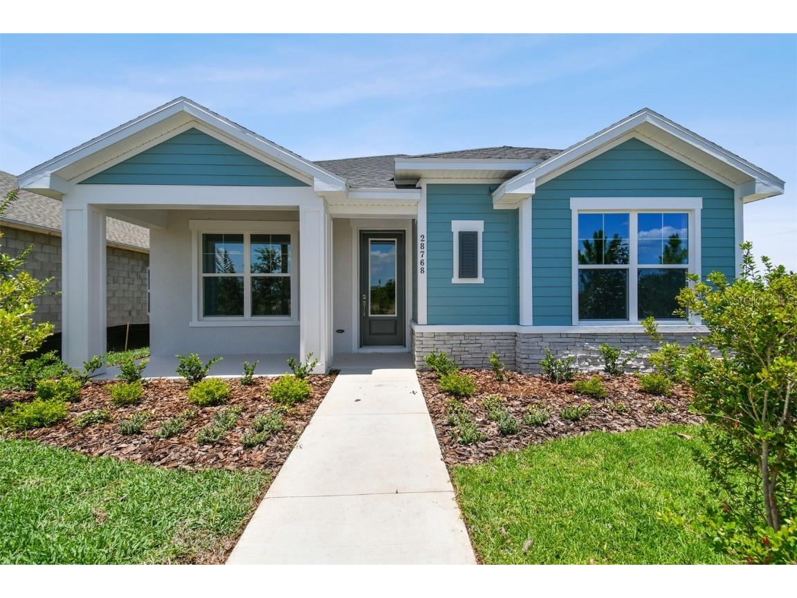 28768 Rambutan Drive Wesley Chapel FL 33543 T3531077 image1