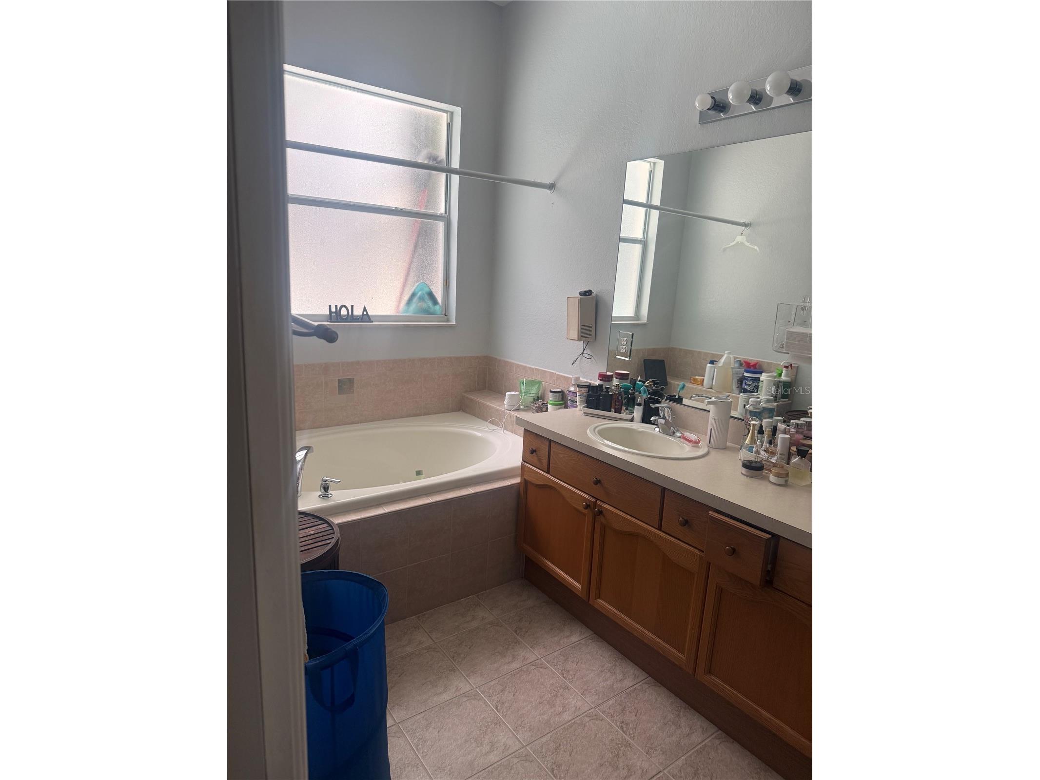 2877 Oconnell Drive Kissimmee FL 34741 S5150818 image14