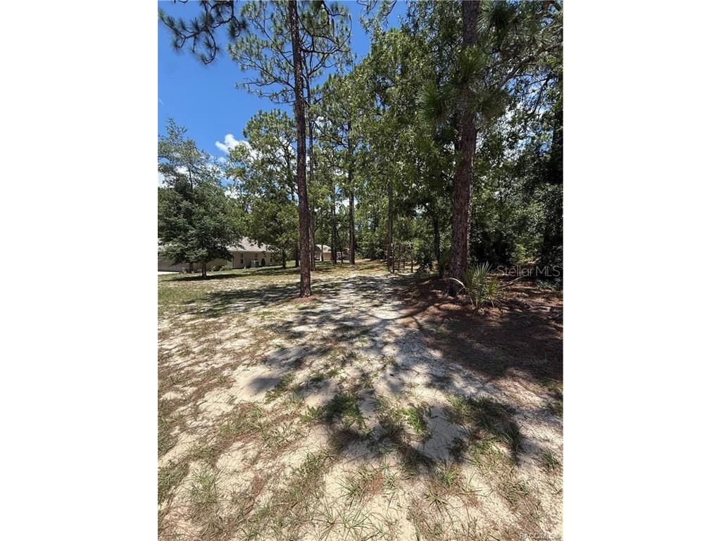 2877 W Axelwood Drive Beverly Hills FL 34465 TB8532069 image47