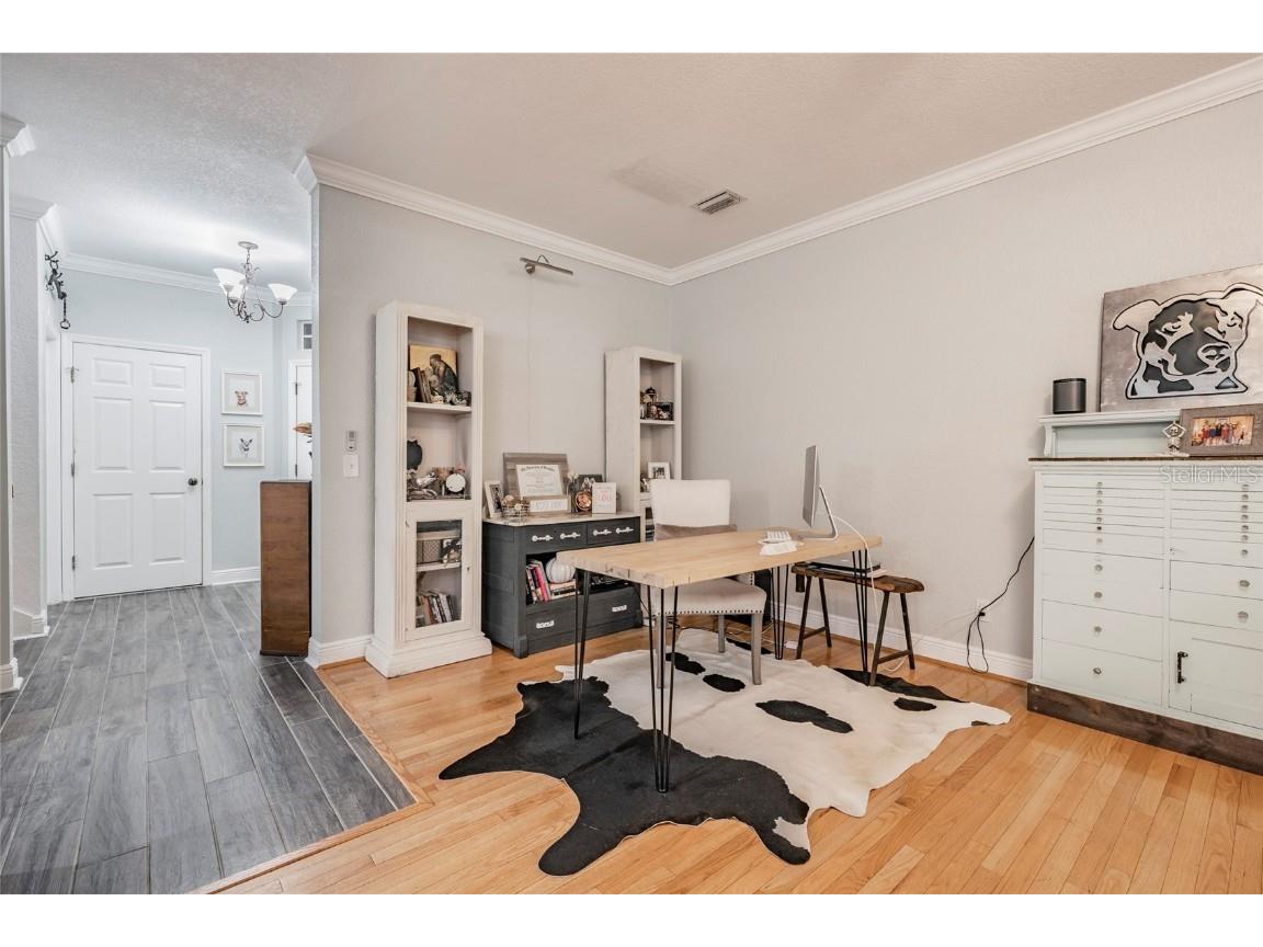 2878 Bayshore Trails Drive Tampa FL 33611 TB8447645 image6