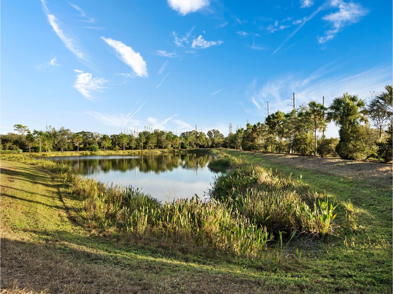 2878 Butterfly Jasmine Trail Sarasota FL 34240 A4691076 image34