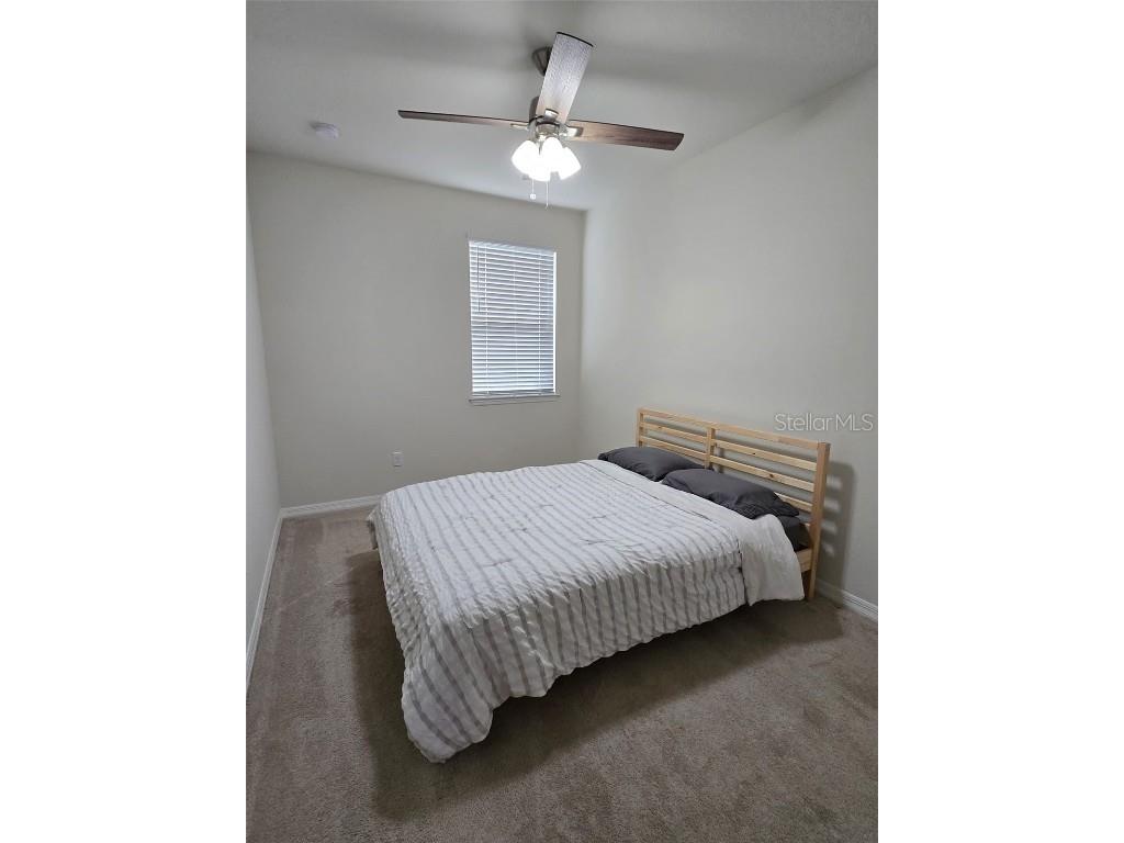 2878 Grand Kemerton Place Tampa FL 33618 TB8342925 image17