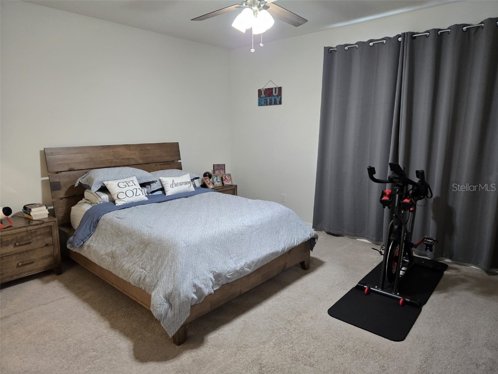 2878 Grand Kemerton Place Tampa FL 33618 TB8342925 image24