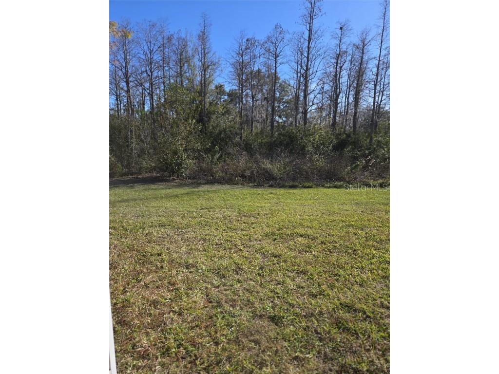 2878 Grand Kemerton Place Tampa FL 33618 TB8342925 image34