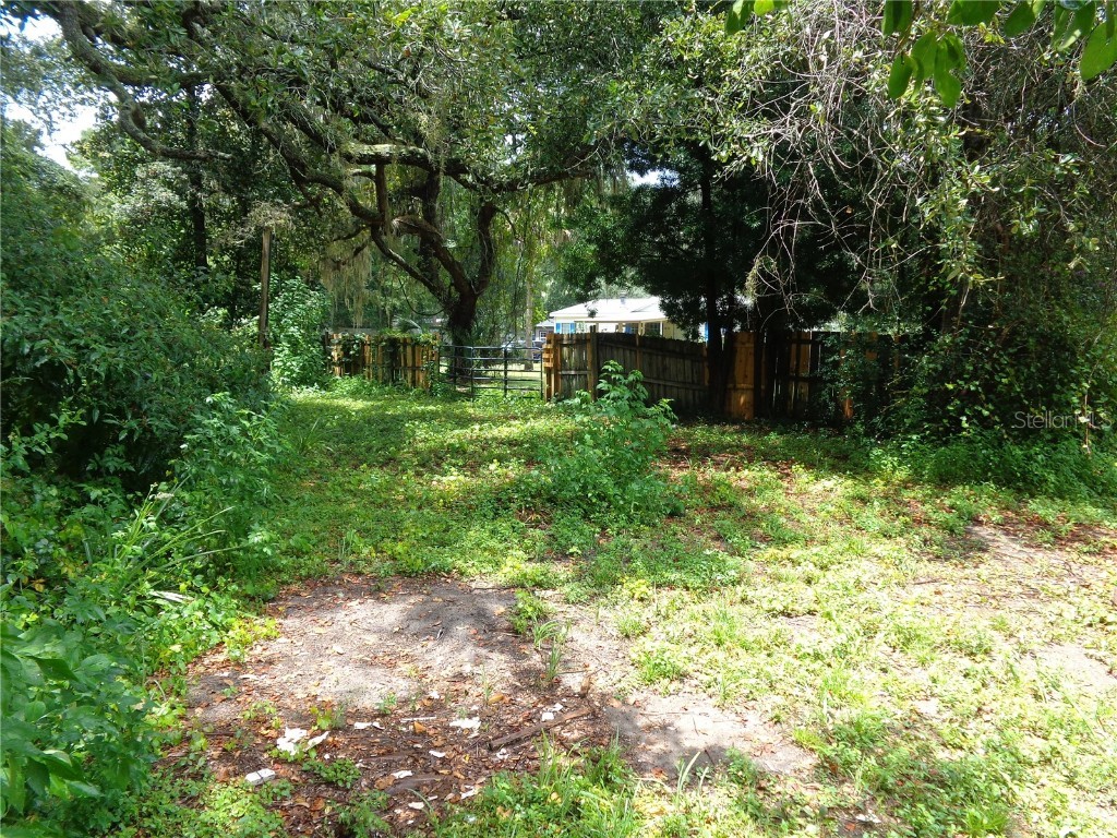 2878 NE 161st Street Citra FL 32113 O6324596 image28