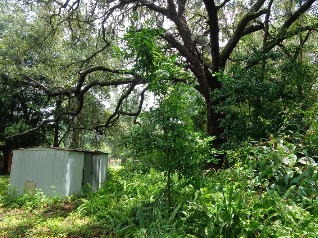 2878 NE 161st Street Citra FL 32113 O6324596 image32