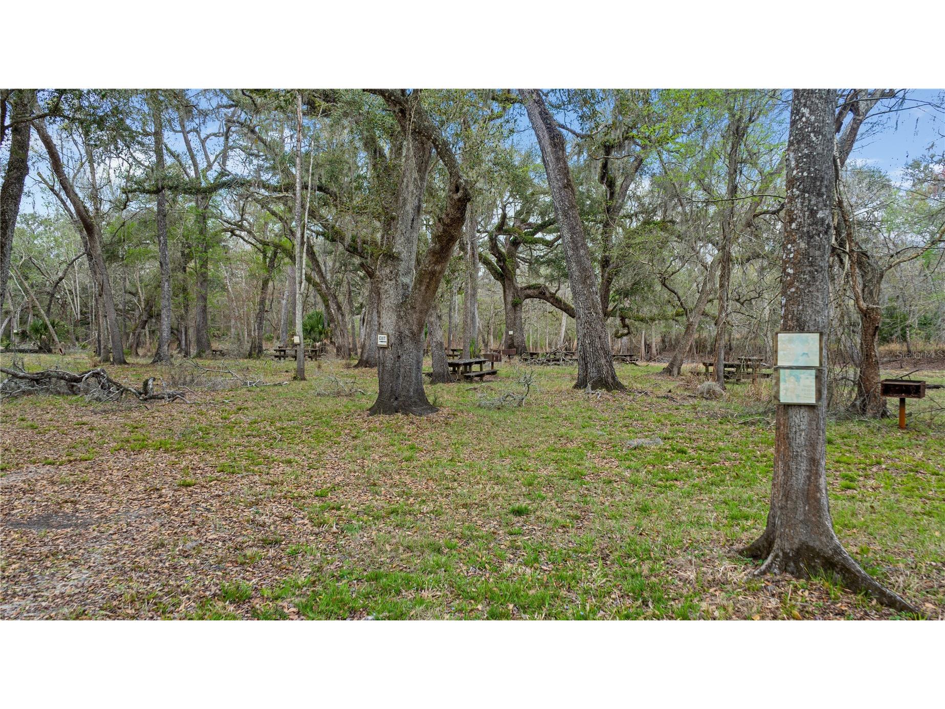 2878 NE 340 Highway Branford FL 32008 - SUWANNEE RIVER TB8484150 image5