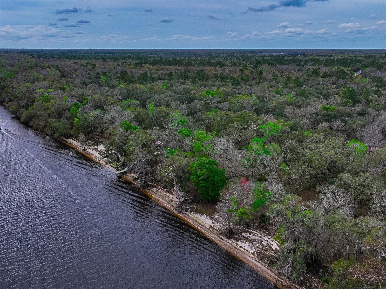 2878 NE 340 Highway Branford FL 32008 - SUWANNEE RIVER TB8484150 image8