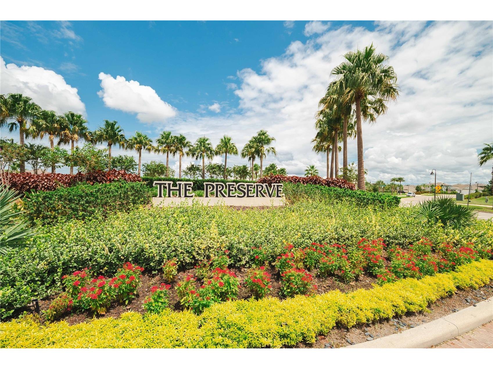 2878 Suncoast Plains Drive Odessa FL 33556 TB8507820 image14