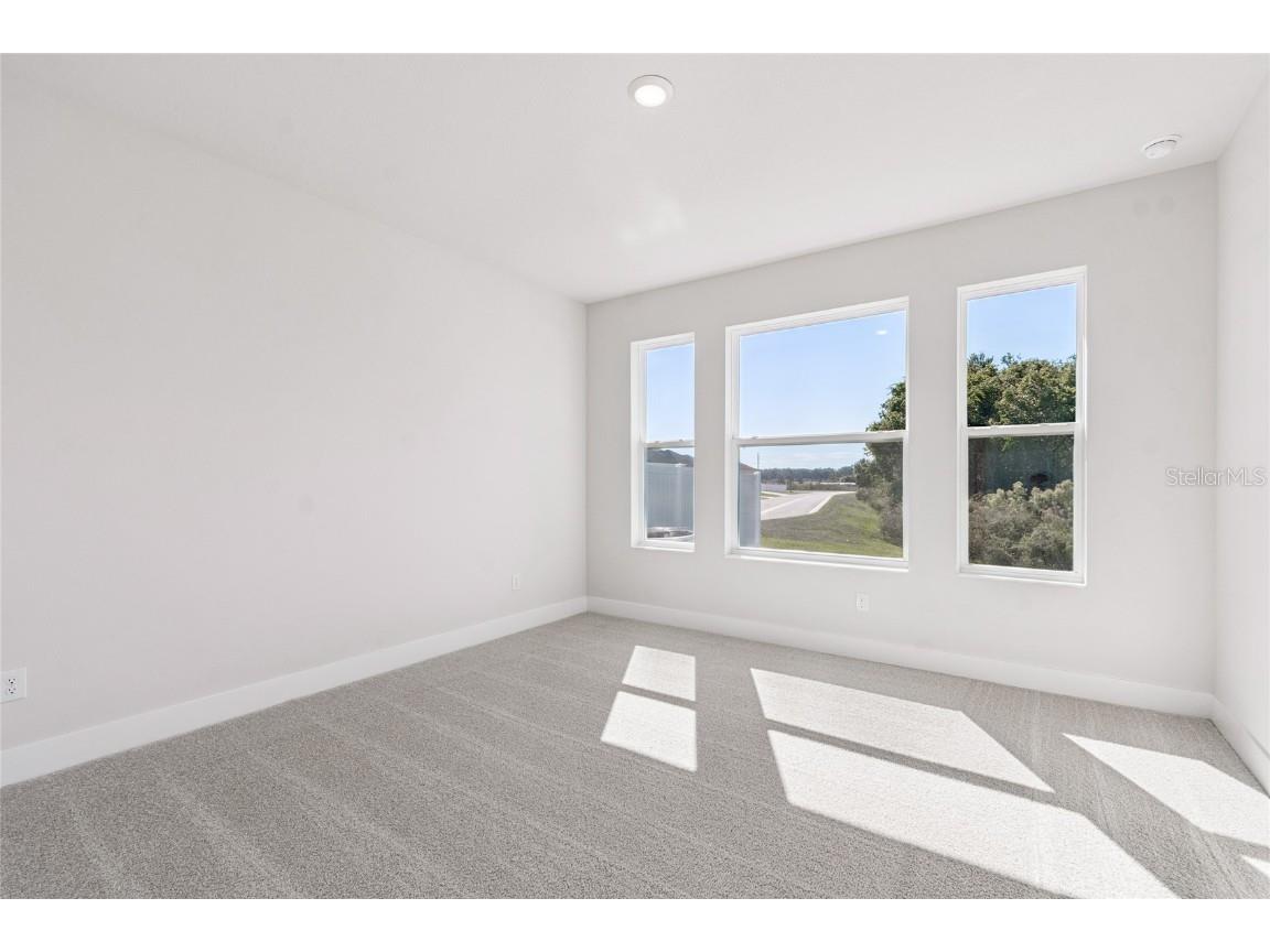 28780 Jujube Road Wesley Chapel FL 33543 TB8404943 image22