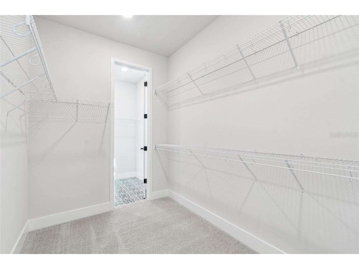 28780 Jujube Road Wesley Chapel FL 33543 TB8404943 image27