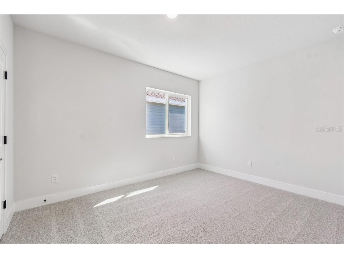 28780 Jujube Road Wesley Chapel FL 33543 TB8404943 image36