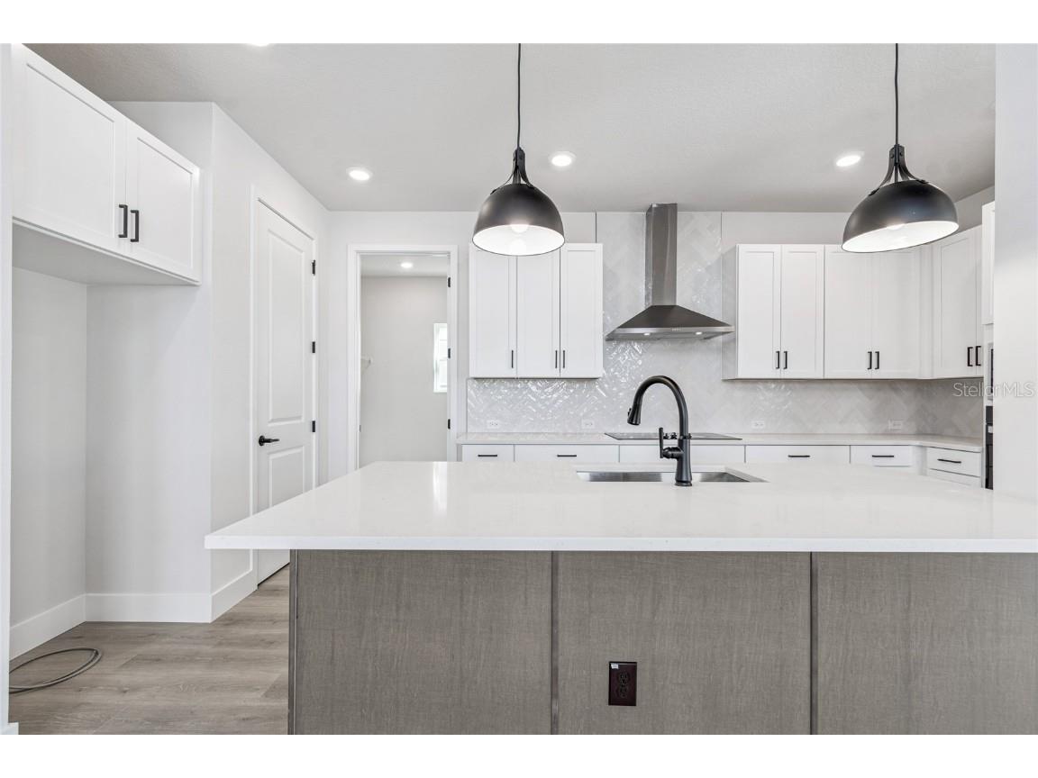 28780 Jujube Road Wesley Chapel FL 33543 TB8404943 image4