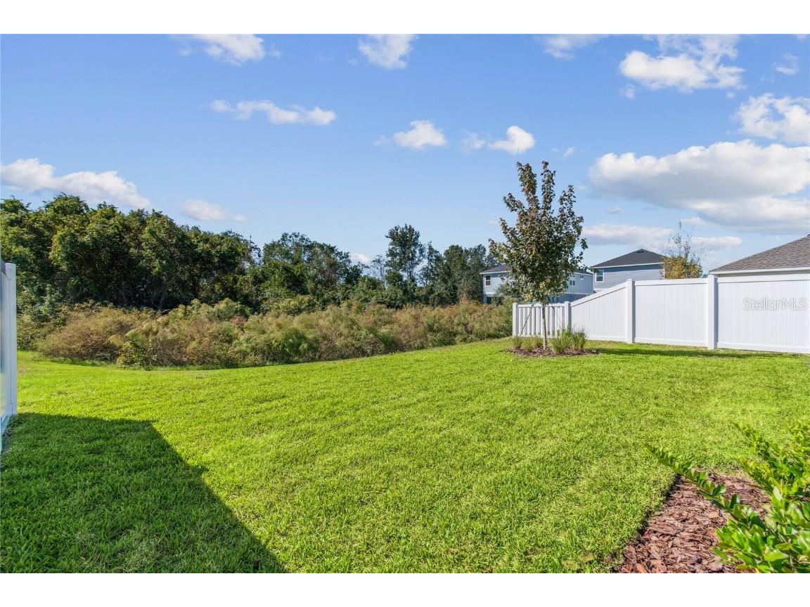 28780 Jujube Road Wesley Chapel FL 33543 TB8404943 image48