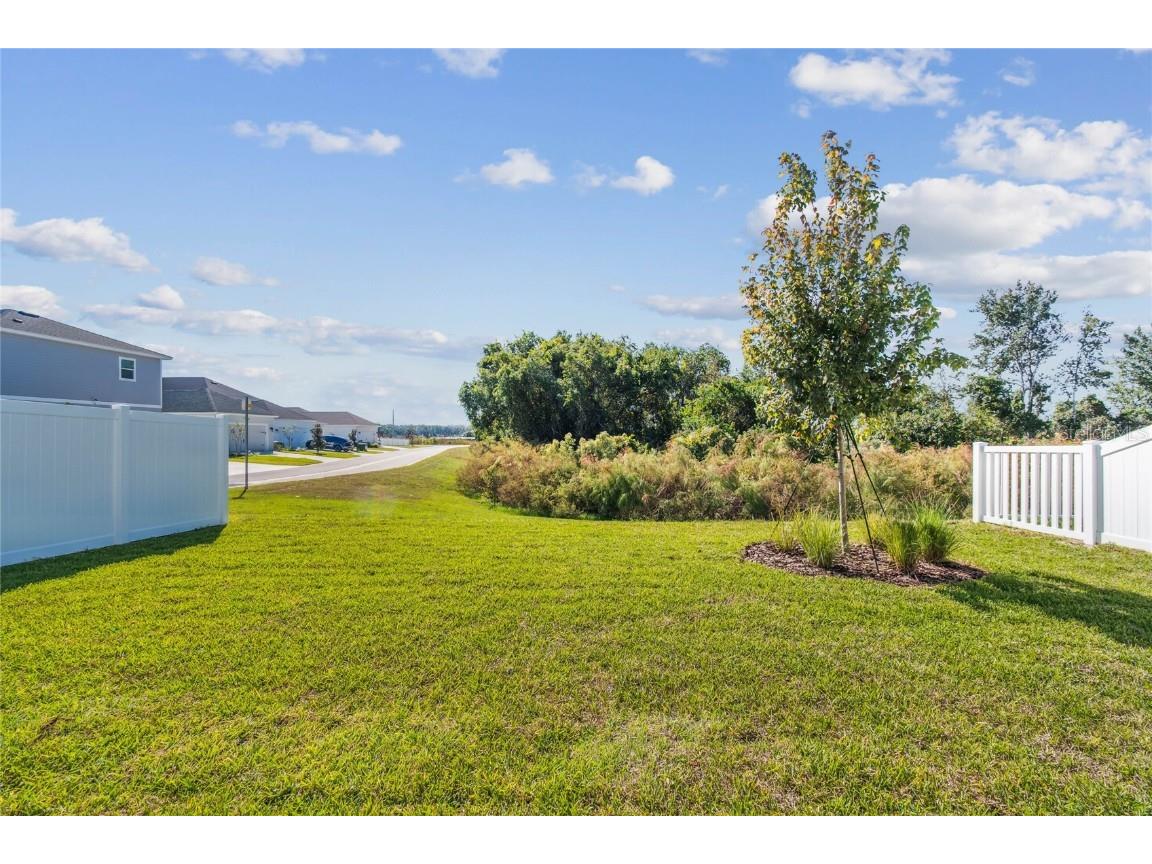 28780 Jujube Road Wesley Chapel FL 33543 TB8404943 image49