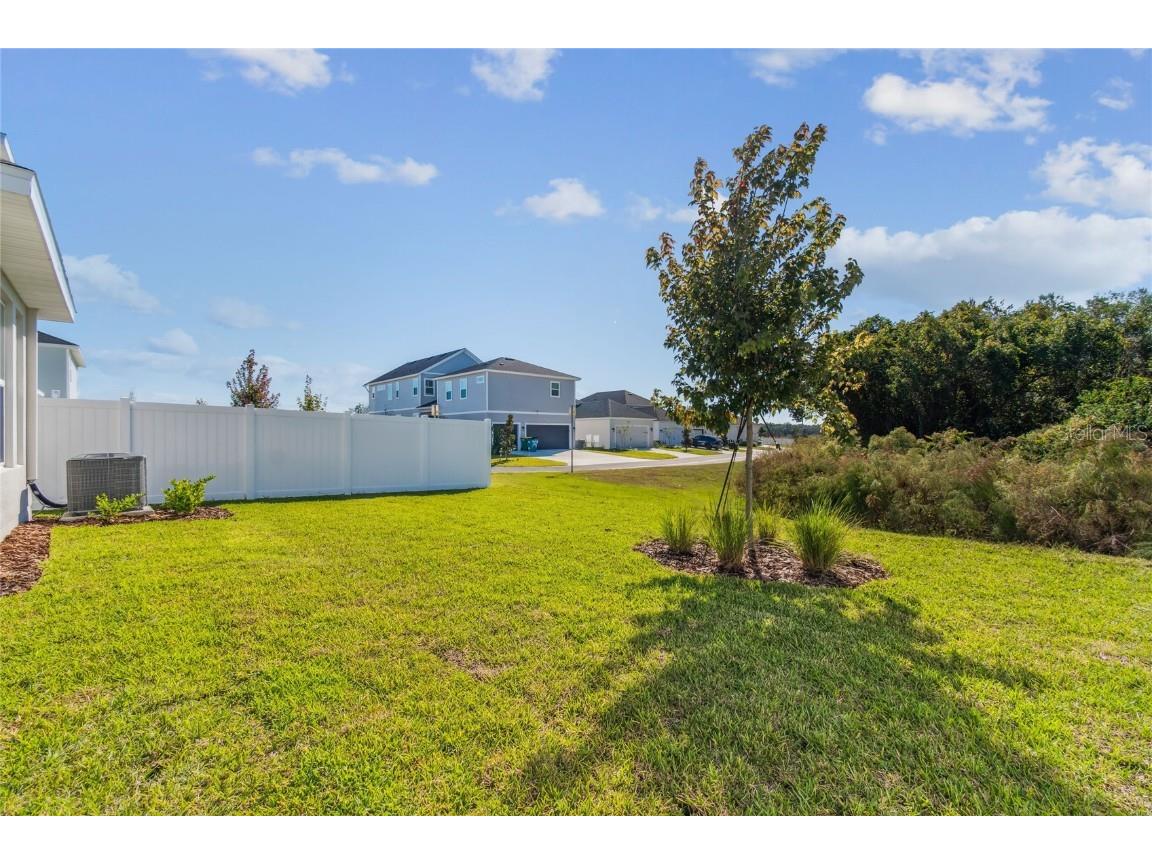 28780 Jujube Road Wesley Chapel FL 33543 TB8404943 image50