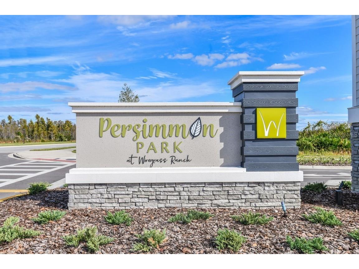 28780 Jujube Road Wesley Chapel FL 33543 TB8404943 image51