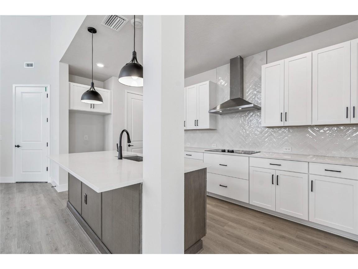 28780 Jujube Road Wesley Chapel FL 33543 TB8404943 image8